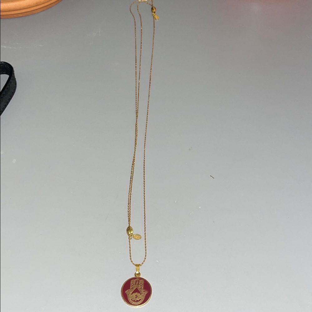 Alex and Ani Gold Necklace with Red Pendant
